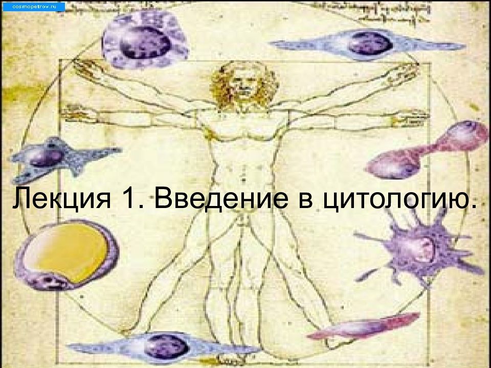 Лекция 1. Введение в цитологию.