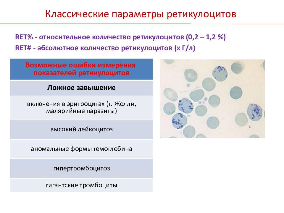 Повышенные ретикулоциты