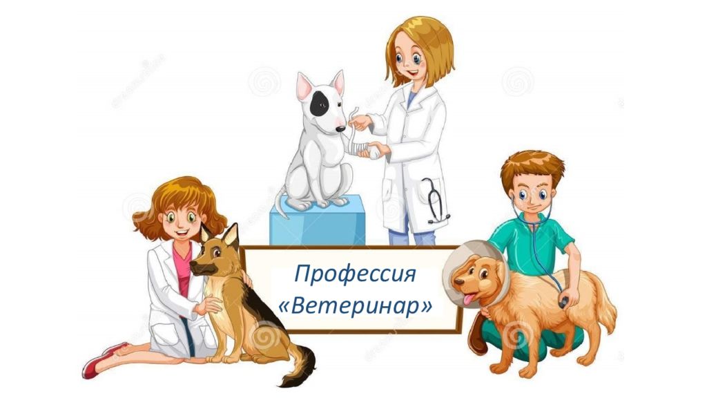Профессия «Ветеринар»