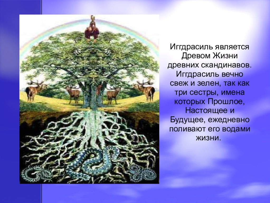 Змей корень. Священное Древо Иггдрасиль. Строение мирового древа. Мировое дерево у славян. Древо жизни символ вечной жизни.