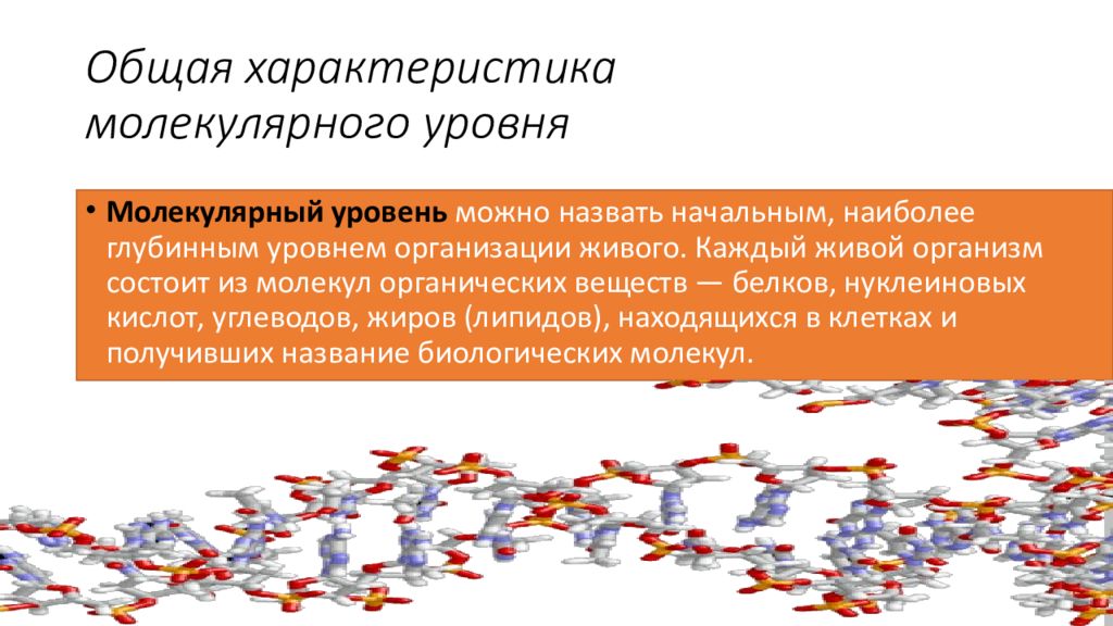 Обмен веществ молекулярного уровня