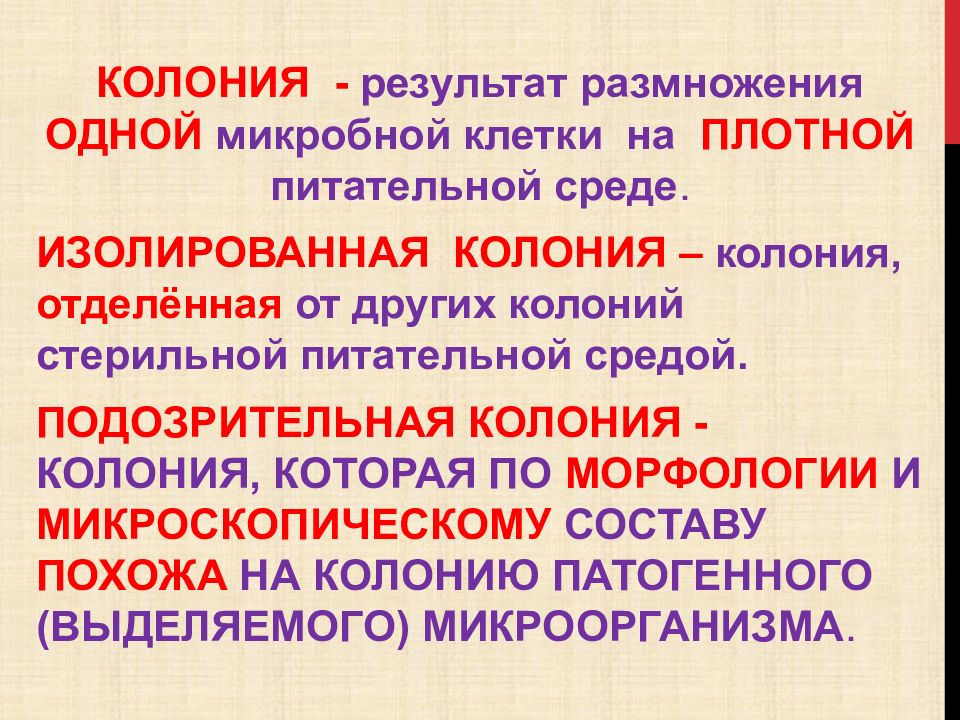 Колония это микробиология. Изолированная колония это микробиология. Колония микроорганизмов это. Изолированная колония микроорганизмов это. Изолированные колонии это микробиология.