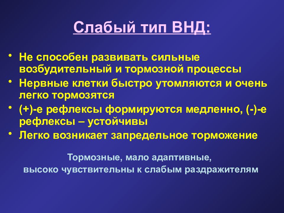 Презентация внд типы внд