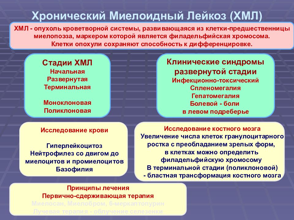 Хронический лейкоз рекомендации. Хронический миелоидный лейкоз. Хронический миелоидный лейкоз клинические рекомендации. ХМЛ – хронический миелобластный лейкоз. Хронический миелоидный лейкоз развернутая стадия.