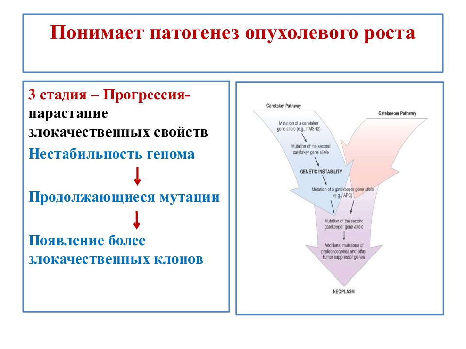 Опухолевый рост. Патогенез опухолевого роста. Стадии патогенеза злокачественного роста. Стадии опухолевого роста. Этапы патогенеза опухолевого роста.