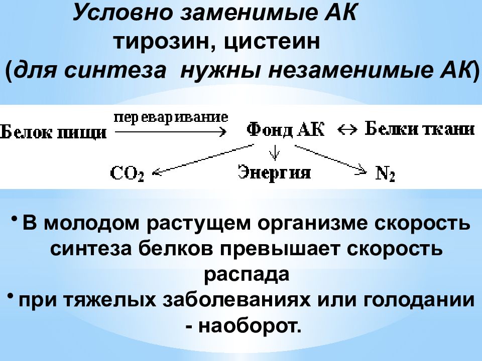 Необходимые для синтеза белка аминокислоты. Презентация на тему аминокислоты белки. Аминокислоты белки 9 класс химия презентация. Факторы, влияющие на заряд аминокислот и белков. Белки для синтеза которых требуется железо.