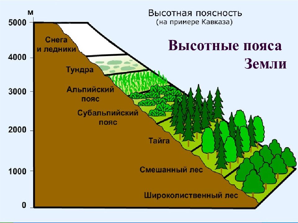 Верно ли следующее утверждение африка это образец проявления широтной зональности