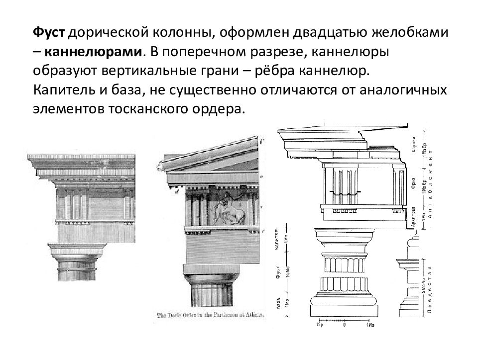 Капитель определение. Дорическая колонна с каннелюрами. Дорическая Капитель каннелюры. Дорический ионический Коринфский ордер в архитектуре. Элементы капители дорического ордера.