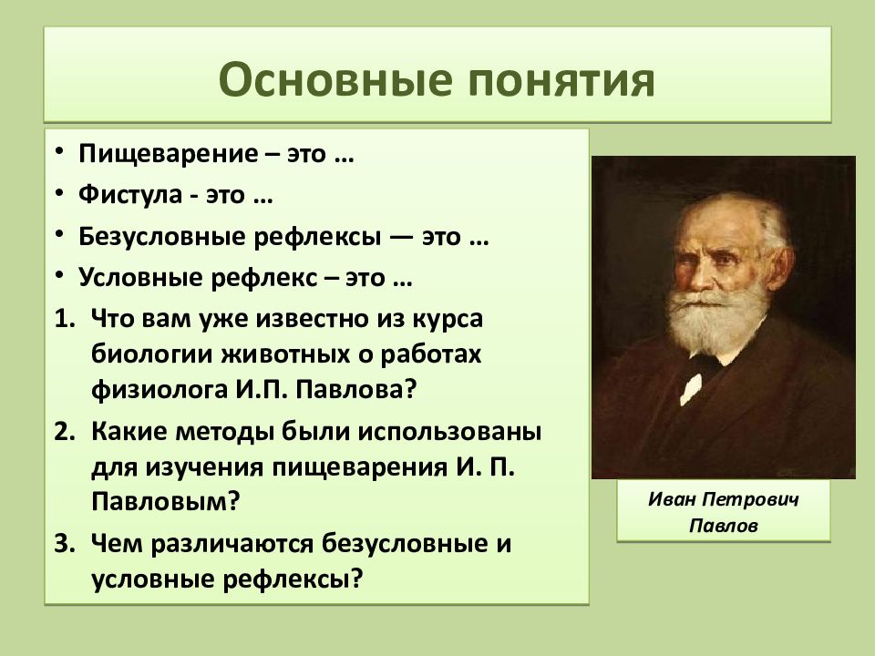 Создал теорию рефлексов 6 букв. Общие принципы саморегуляции пищеварения. Регуляция пищеварения рефлексы. Опорный конспект регуляция пищеварения. Регуляция пищеварения презентация.