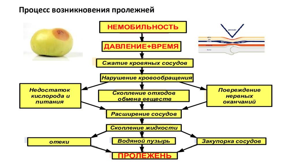 Возник процесс. Процесс возникновения. Процесс происхождения детей. Процесс зарождения асфольтопарафинов. Процесс зарождения техники носил характер.