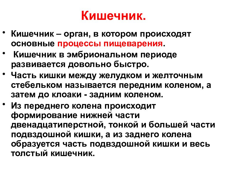 Значение кишечно. Клиническое значение протеасом. Эмбриональные источники развития толстой кишки.