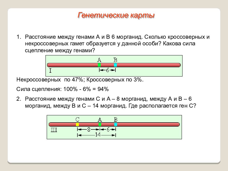 Решение задач на сцепленное наследование презентация