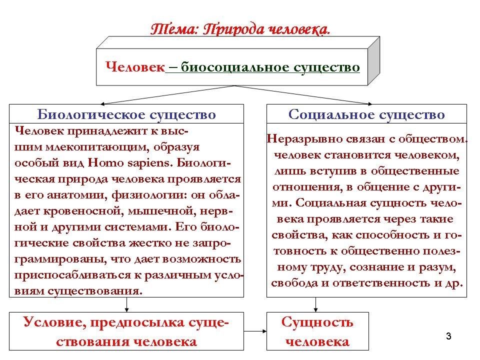 План по обществознанию человек как биосоциальное существо