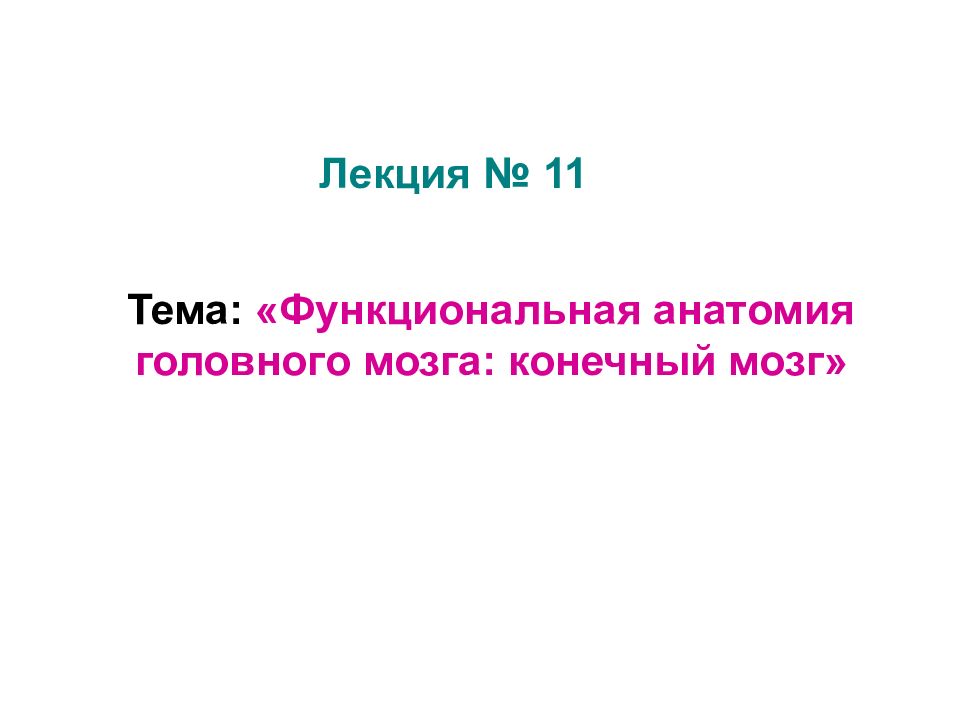 Лекция № 11 Тема: «Функциональная анатомия головного мозга: конечный мозг»