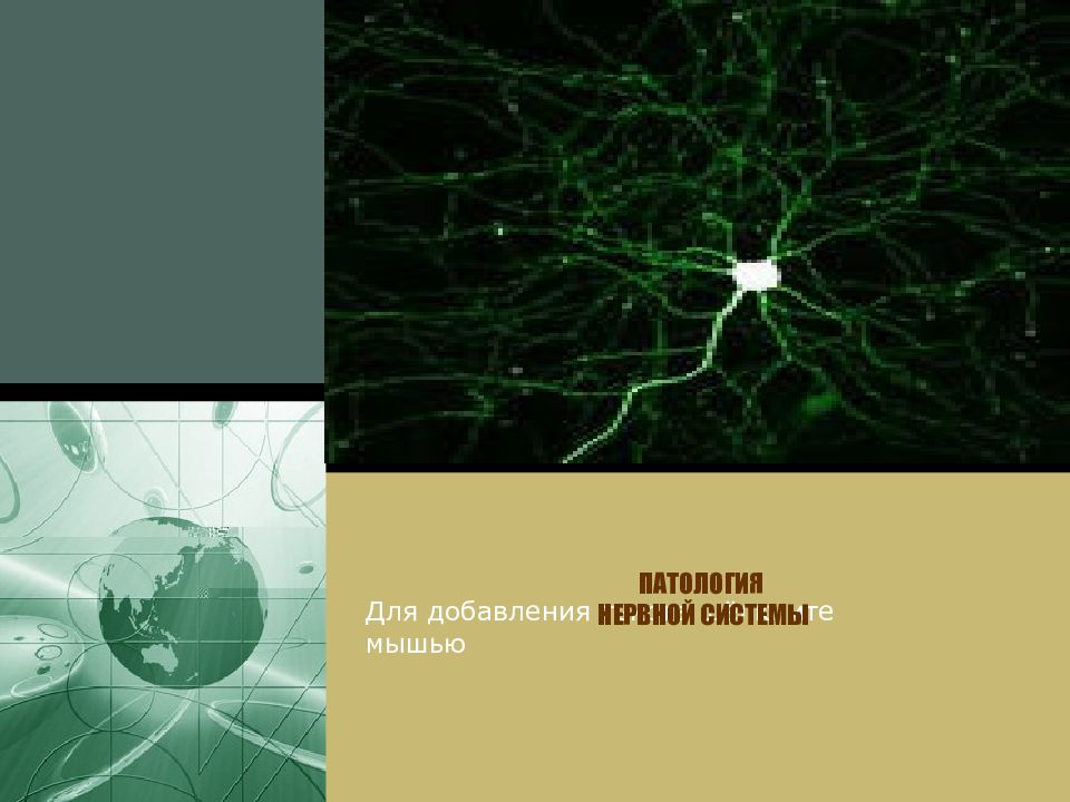 PowerPoint Template
