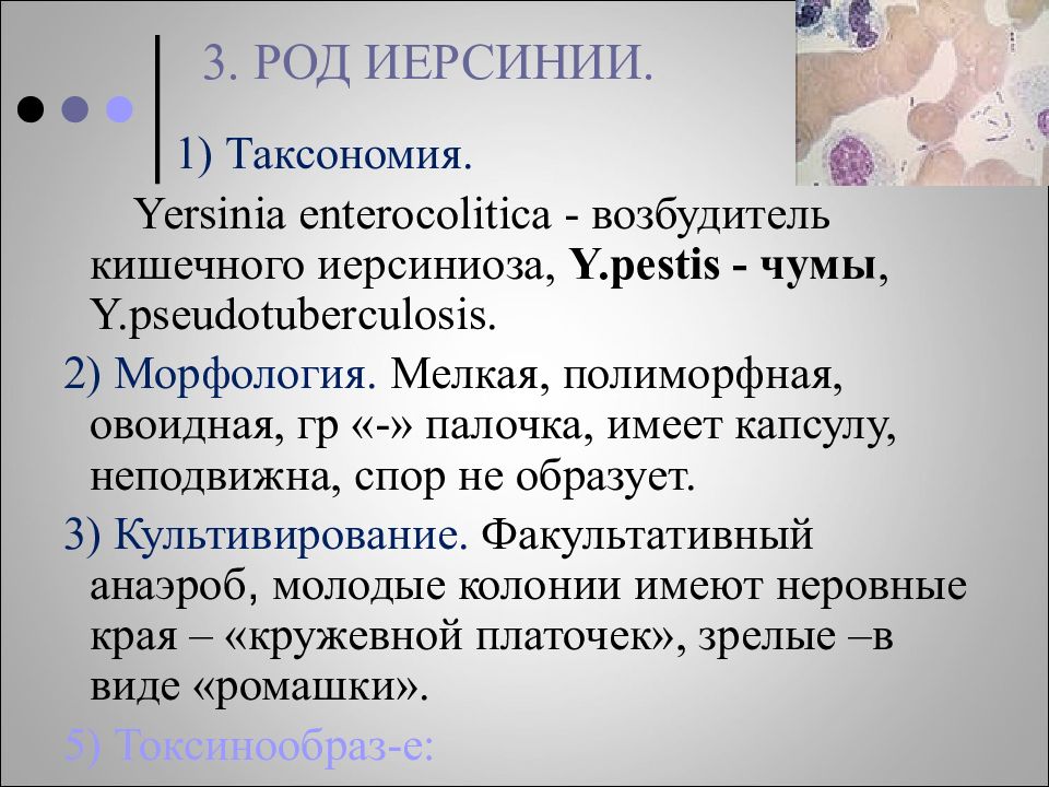 Кишечный иерсиниоз презентация микробиология