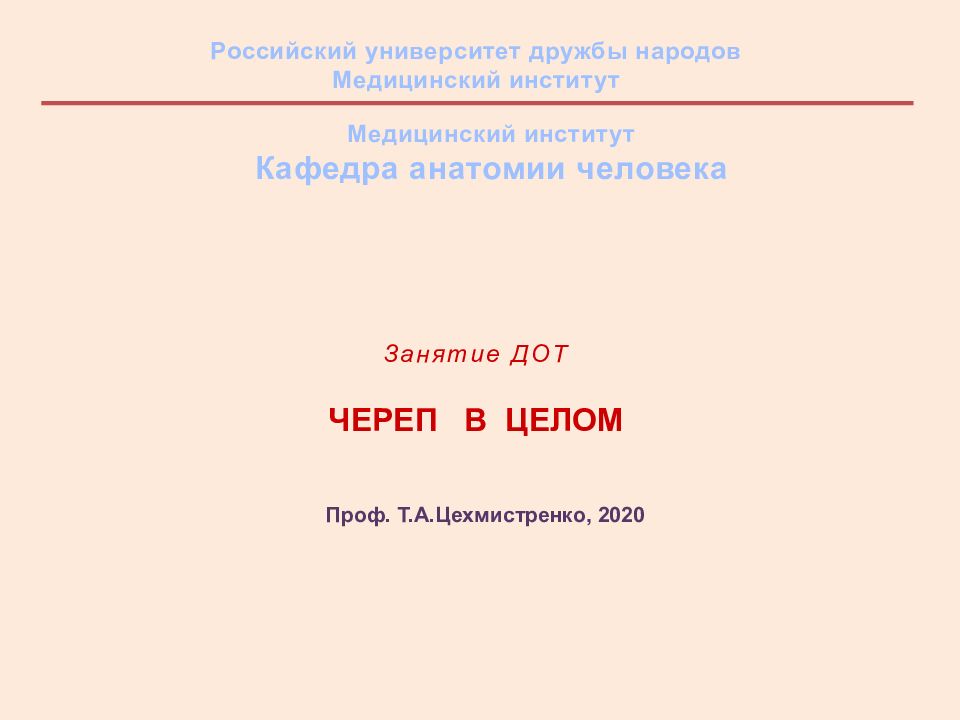 Занятие ДОТ Череп в целом