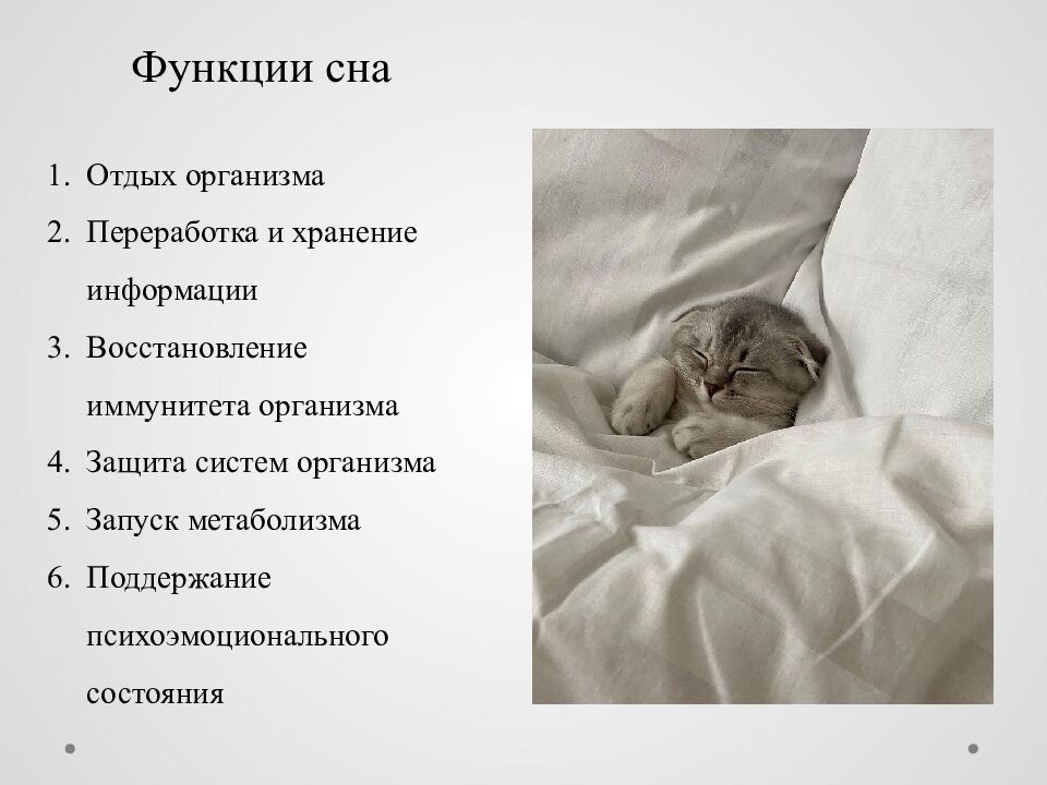 Исследовательский проект на тему : « Сон и его влияние на деятельность и