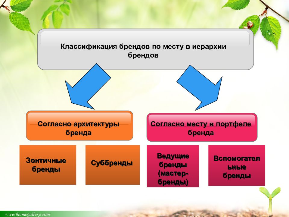 Согласно местам. Классификация брендов. Брендинг классификация. Классификация территориальных брендов. Классификация брендов таблица.