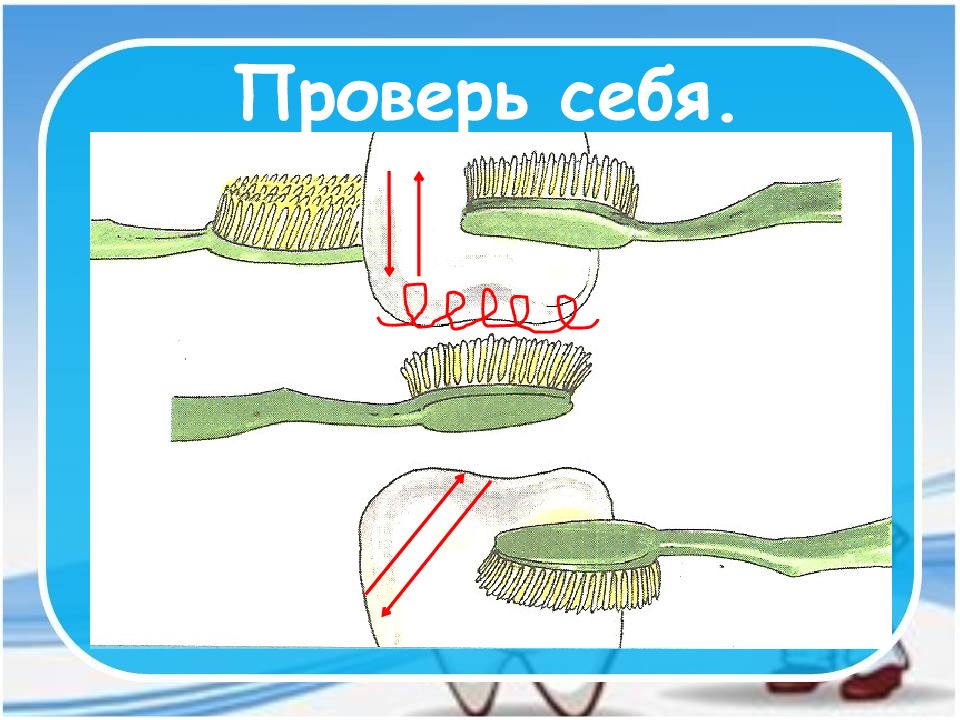 Окружающий мир 1 класс мыть руки. Зачем нужно чистить зубы и мыть руки. Почему нужно чистить зубы и мыть руки. Окружающий мир почему нужно чистить зубы. Почему нужно чистить зубы и мыть руки 1 класс окружающий мир.