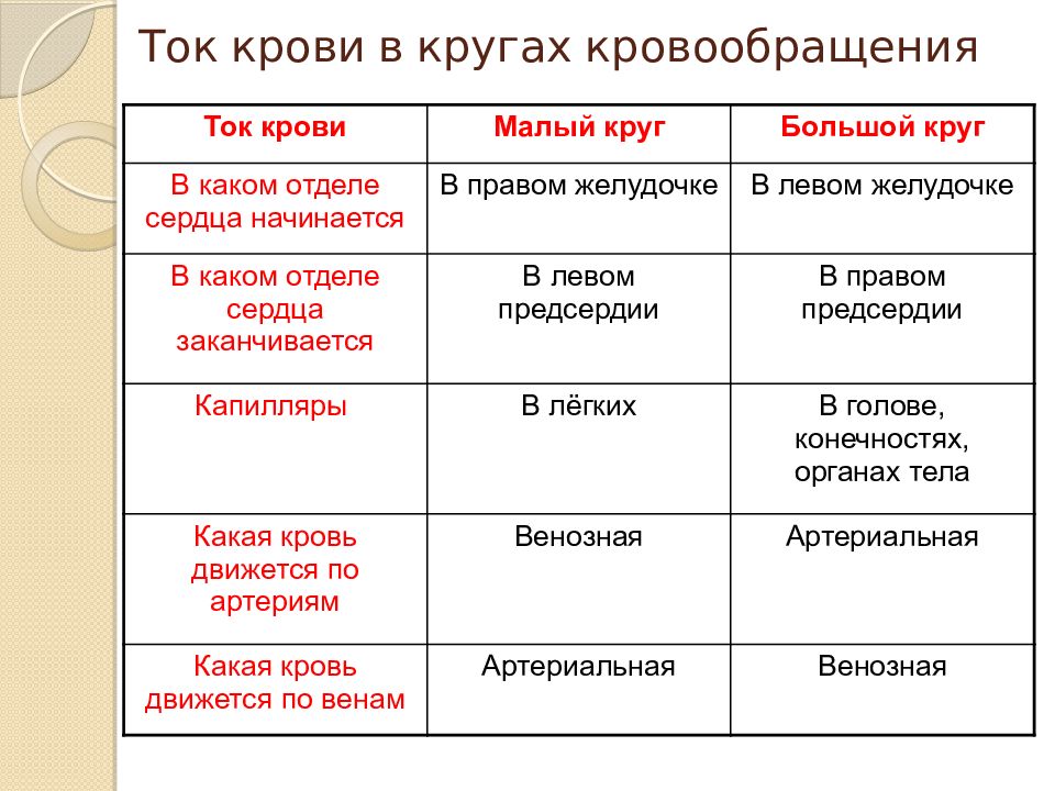 Какой буквой на схеме строения большого круга кровообращения отмечены кровеносные сосуды по которым