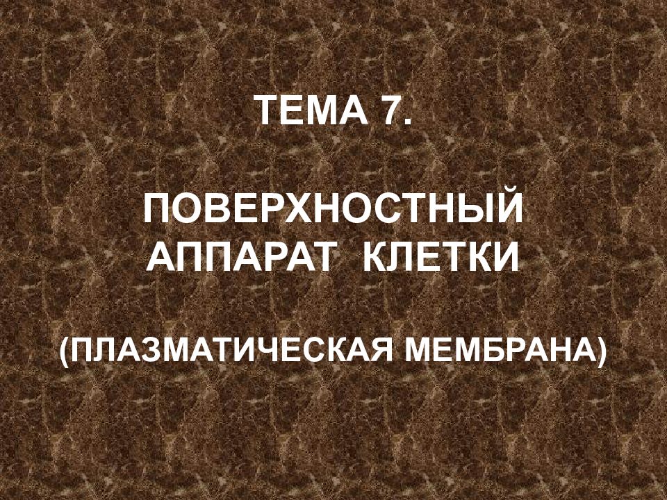 ТЕМА 7. ПОВЕРХНОСТНЫЙ АППАРАТ КЛЕТКИ (ПЛАЗМАТИЧЕСКАЯ МЕМБРАНА)