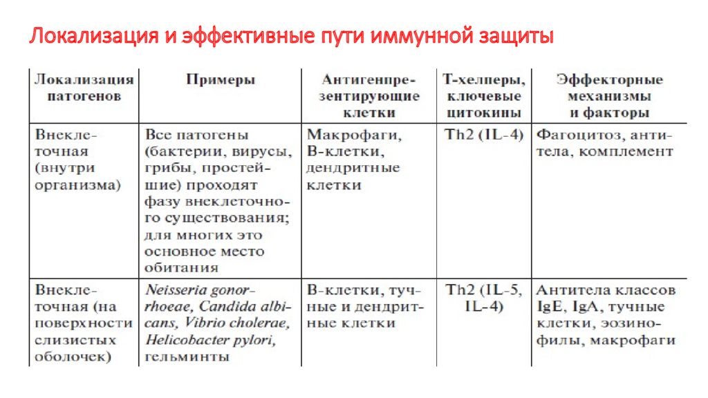 В зависимости от ответа. Тип иммунного ответа в зависимости от локализации патогена. Локализация патогена и эффективные пути иммунной защиты. Механизмы иммунной защиты в зависимости от локализации антигена.. Типы иммунного ответа в зависимости от типа патогена.