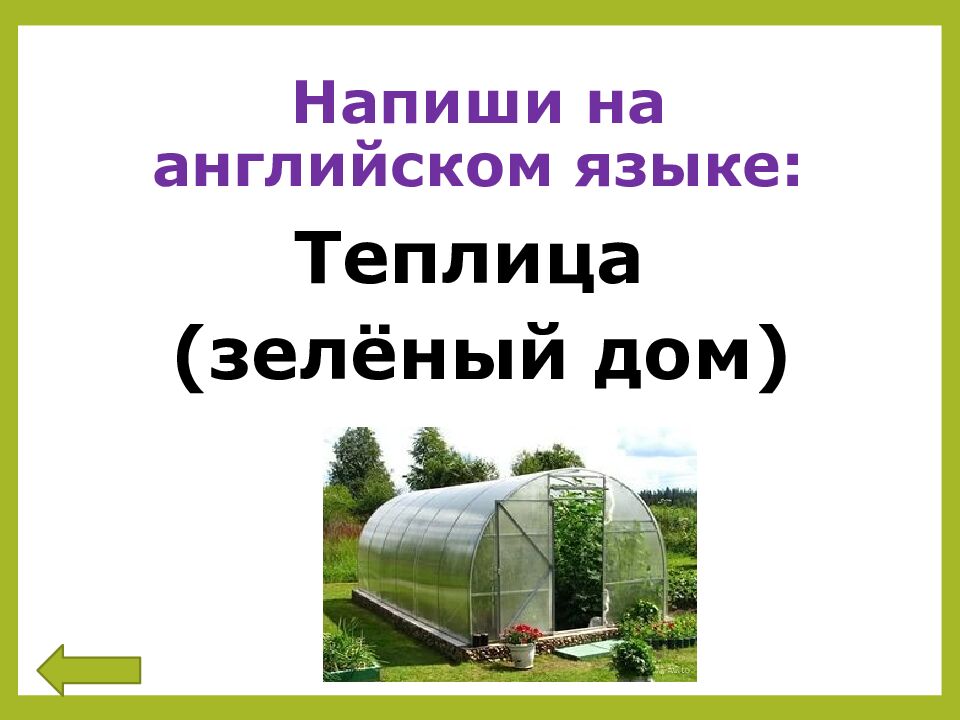 Напиши на английском языке: