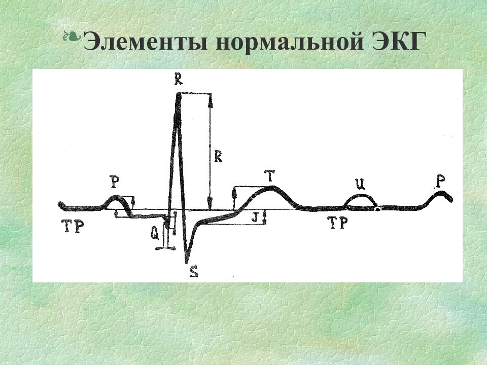 Ооо иг плана