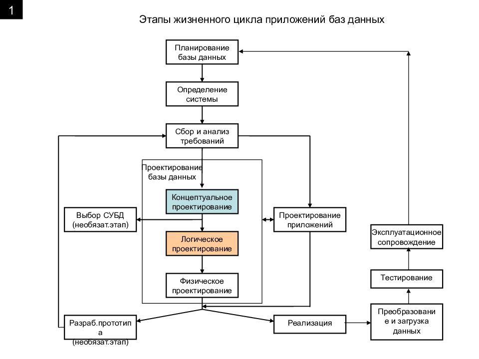 Презентация жизненный цикл базы данных