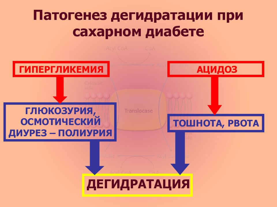 Патофизиология инфекционного процесса презентация