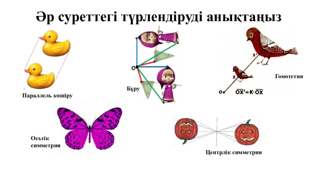Әр суреттегі түрлендіруді анықтаңыз