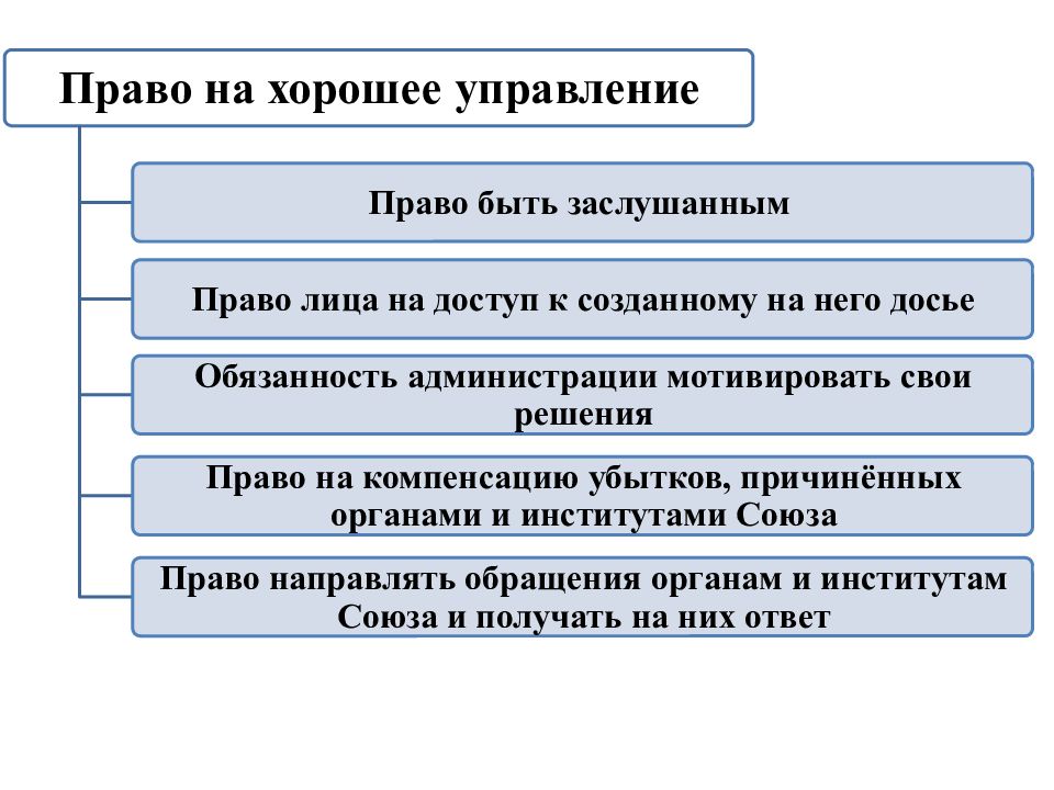 Право популярное. Права на управление. Права человека и гражданина в европейском Союзе. Хорошее управление. Права и обязанности кандидатов в Европейский Союз.