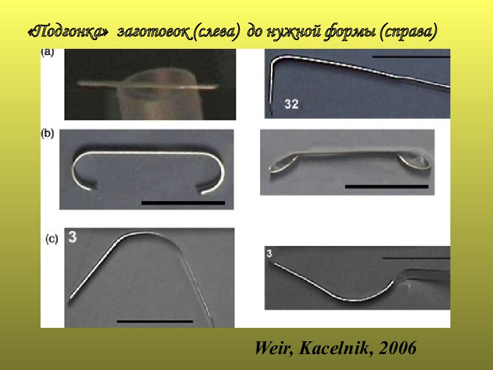 Форма справа. Подгонка заготовок.