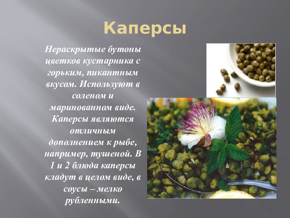 Растение каперсы картинки