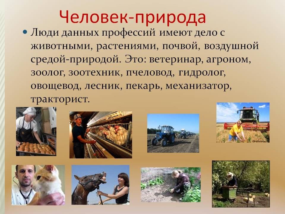 Презентация человек природа