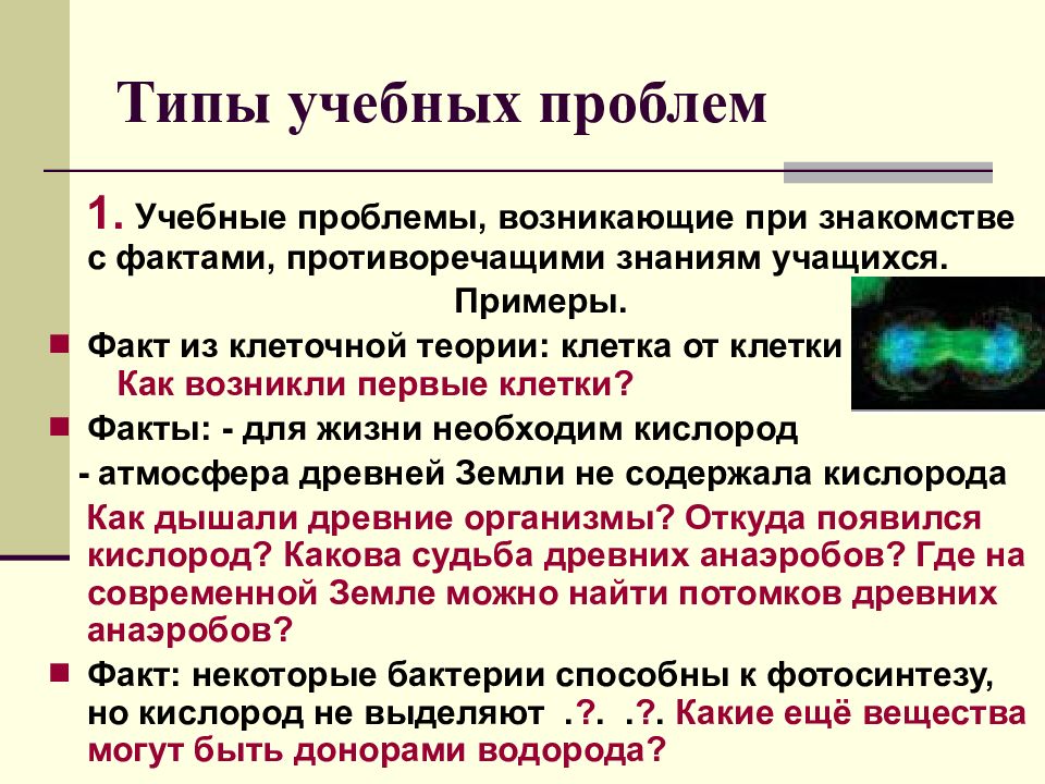 Типы фактов. Учебные проблемы примеры. Интересные факты о клетке. Учебная ситуация проблема пример. Интересные факты о клетках человека.