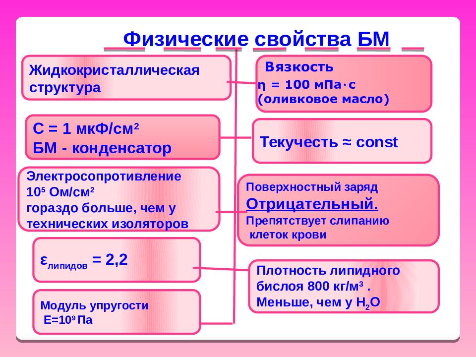 Поверхностный заряд. Физические свойства биологических мембран. Физические свойства биологических мембран физика. Строение, некоторые физические свойства и параметры мембран.. 2. Физические свойства биологических мембран..