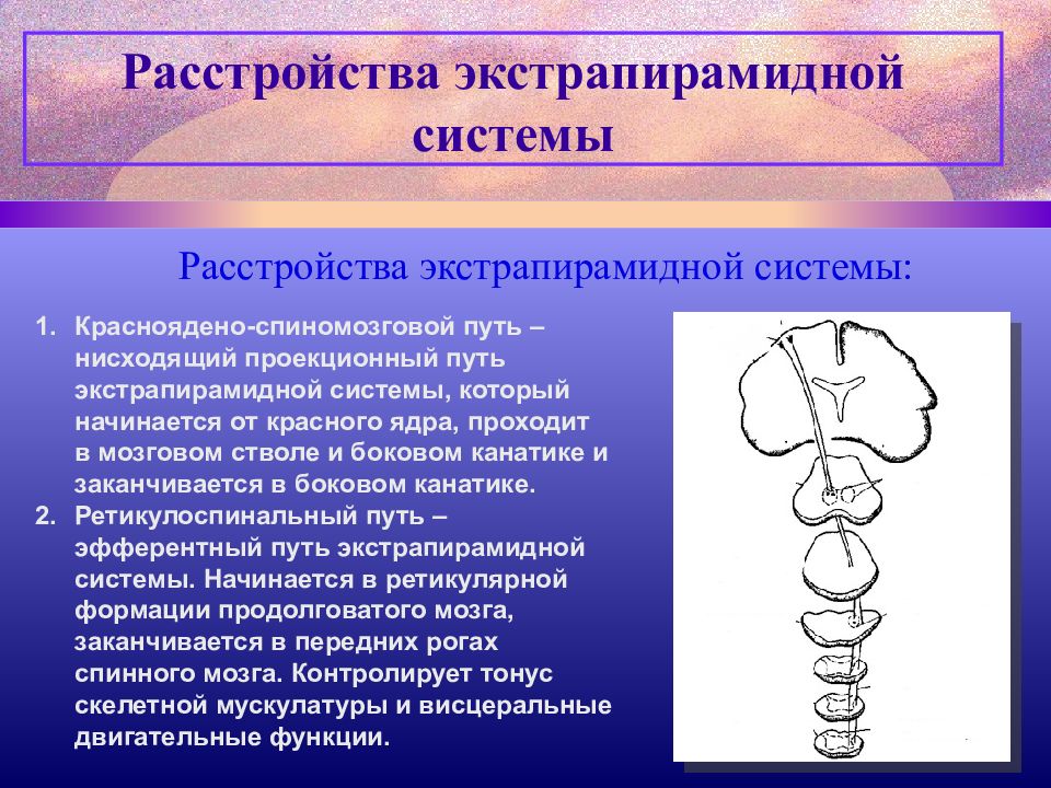 Презентация экстрапирамидная система