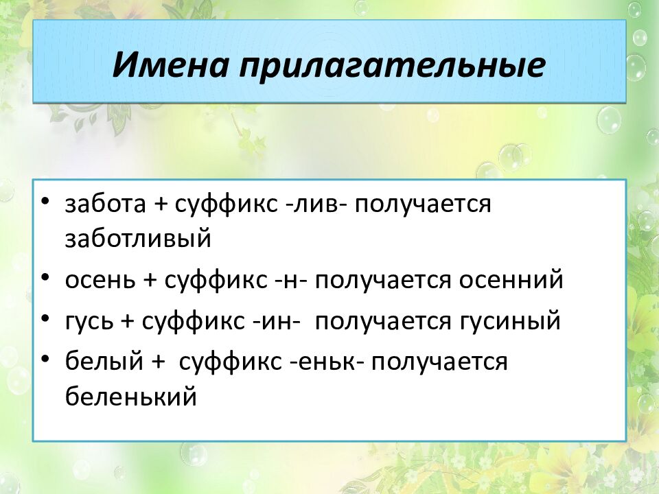 Имена прилагательные