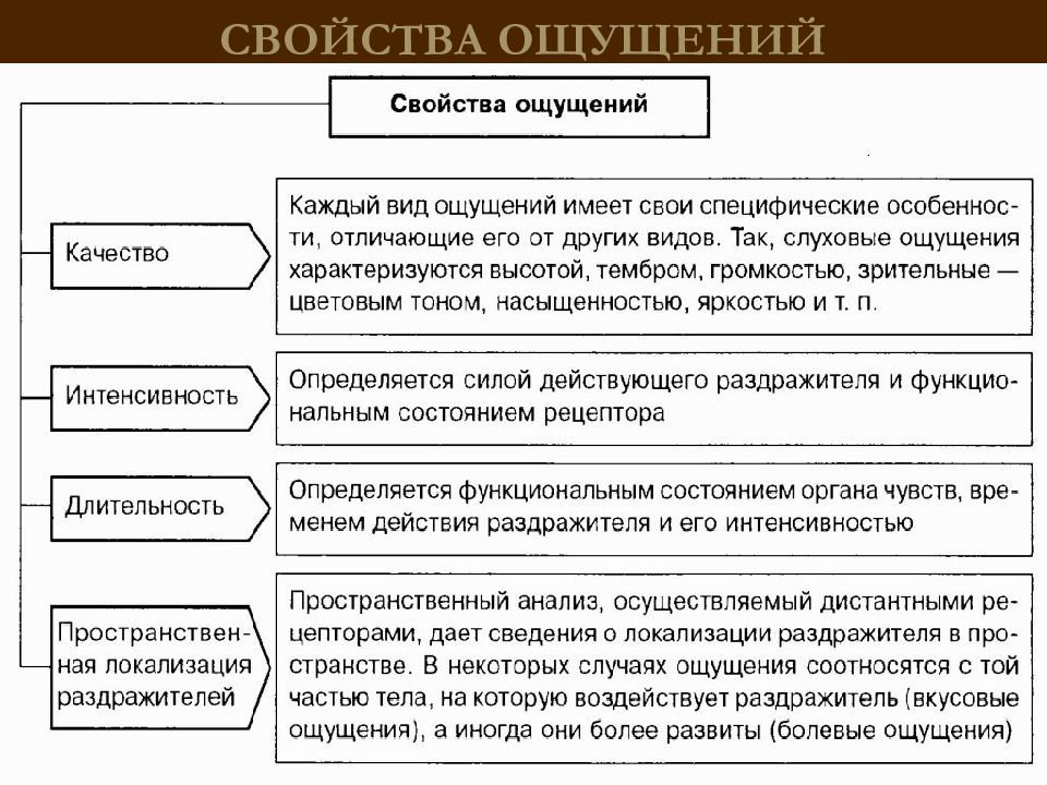 Ощущение презентация по психологии