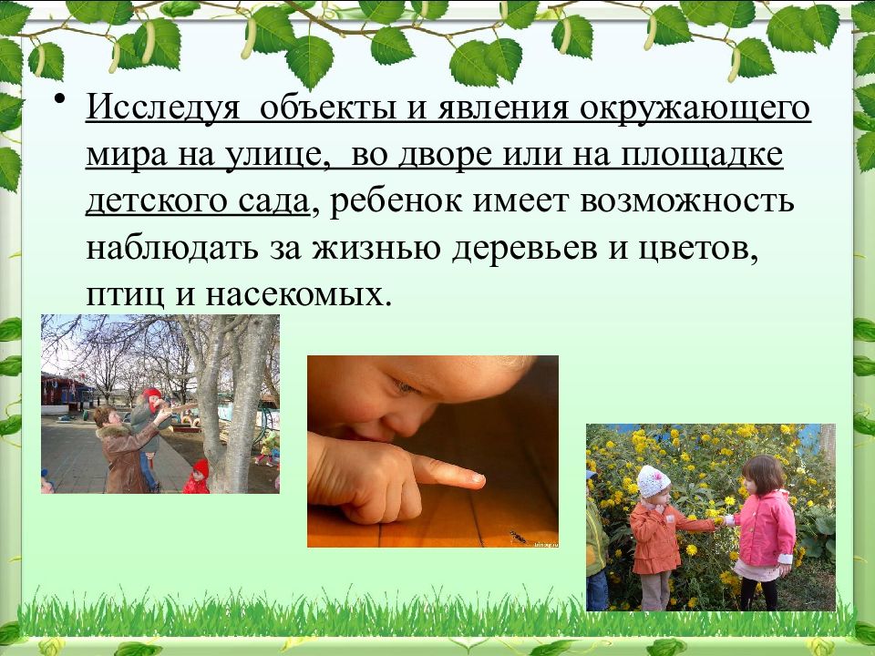 Помогает человеку рассматривать явления окружающего. Презентация по физике. Помогает человеку рассматривать явления окружающего. Насекомые для детей. Метеоролог картинки.