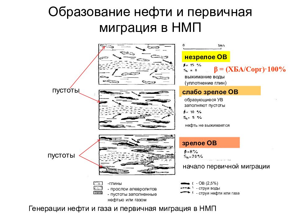 Образование нефти. Первичная и вторичная миграция нефти и газа. Миграция ув нефти и газа. Первичная миграция нефти. Вторичная миграция нефти и газа.