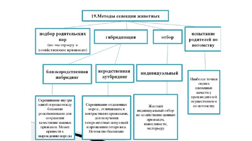 Методы биологии егэ. Методы селекции человека плакат.