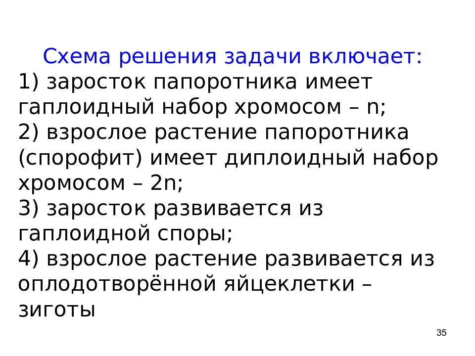 Хромосомный набор заростка папоротника. Гаплоидный набор хромосом имеют. Заросток папоротника набор хромосом. Спорофит диплоидный набор хромосом. Заросток хромосомный набор.