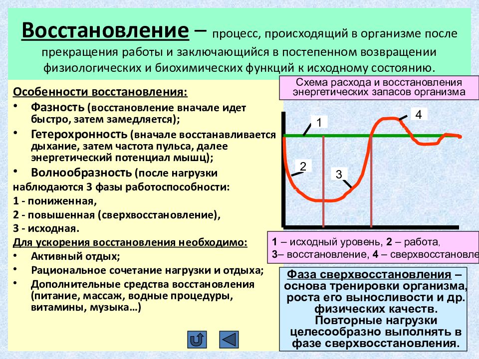 Процесс восстановления организма