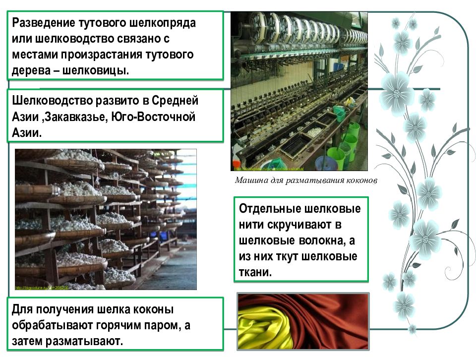 Общая характеристика презентаций