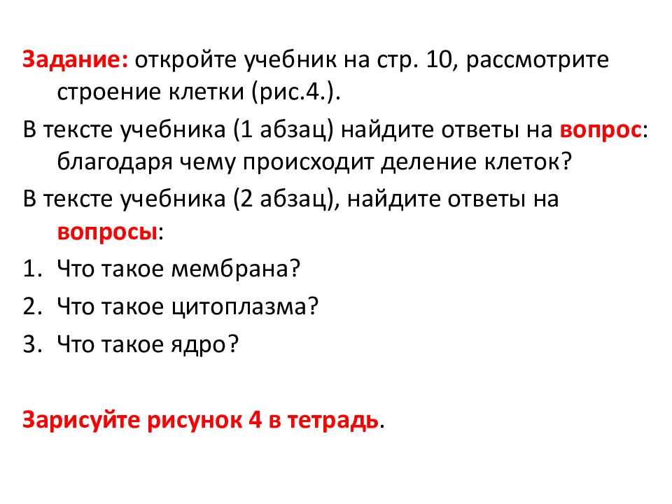 Общий обзор организма человека. Человек