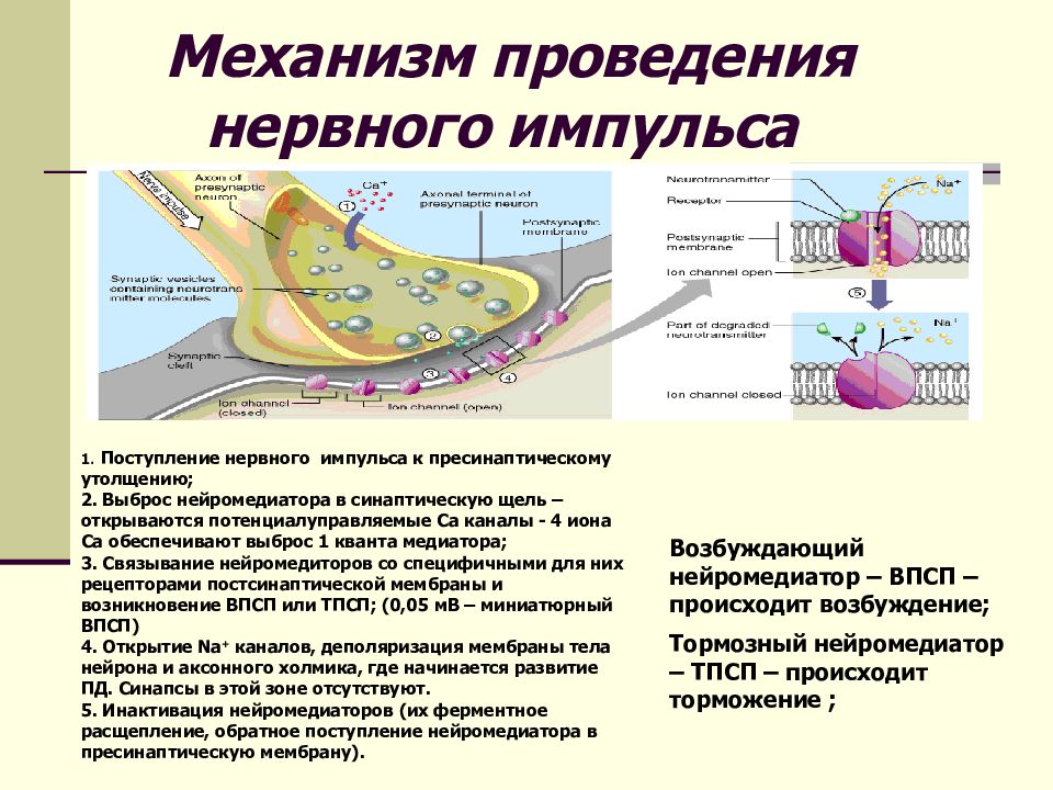 Ооо информационные проекты орск