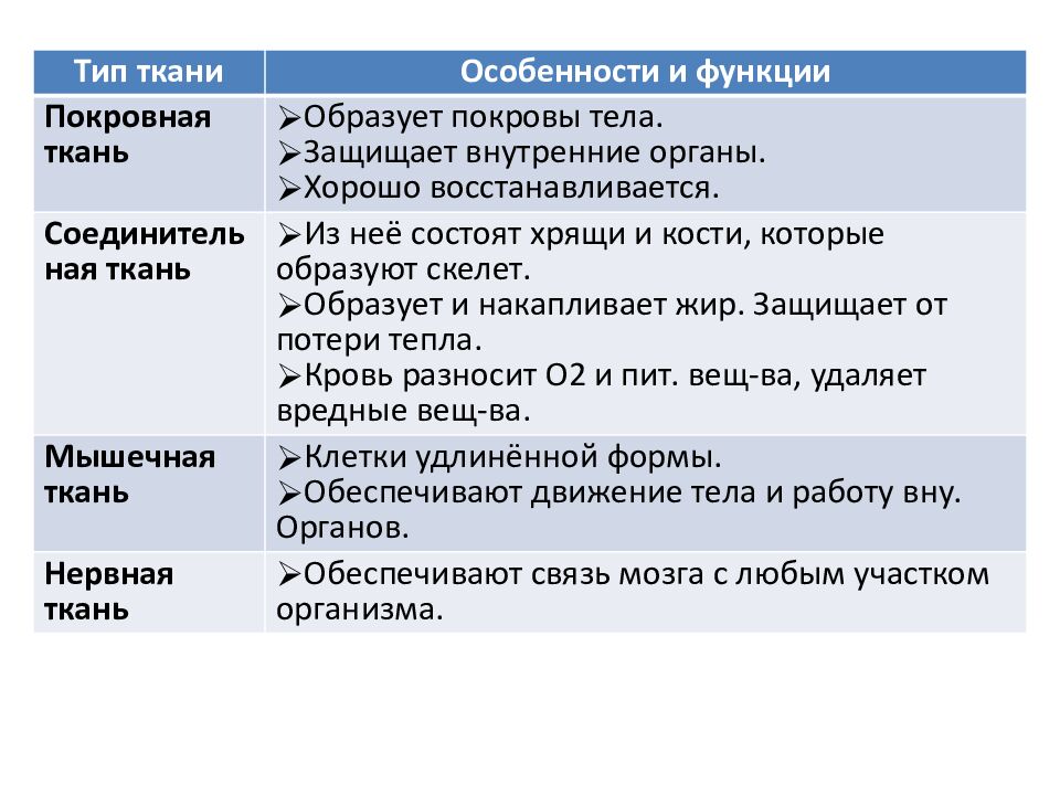 Общий обзор организма человека. Человек